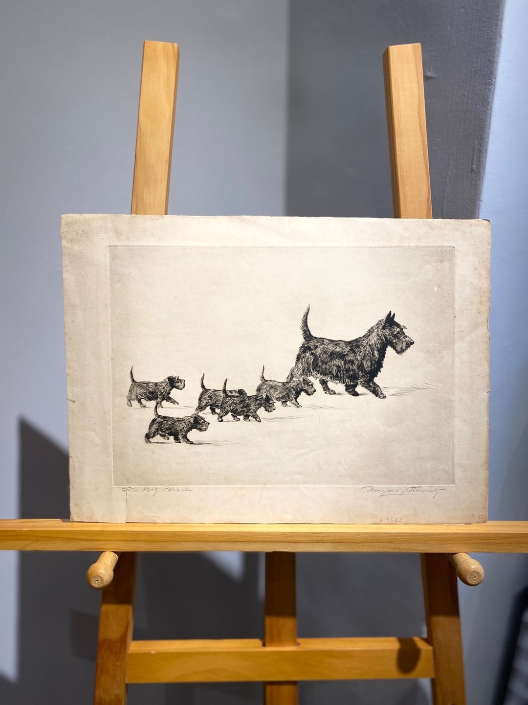 华盛顿DC艺术家Morgan Stinemetz-苏格兰梗家族-蚀刻版画Etching - 海报/装饰画/版画 - 纸 白色