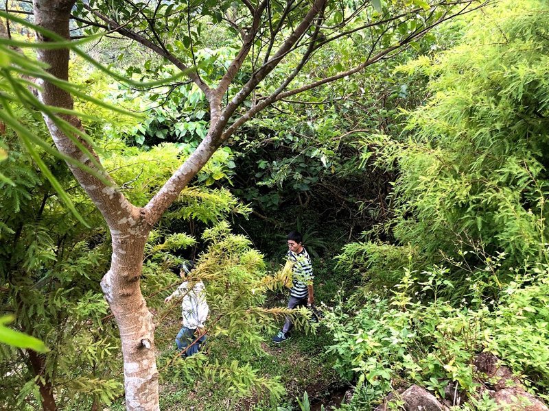 绿色体验_自然森活 Green Life In Taipei - 深度旅游 - 其他材质 