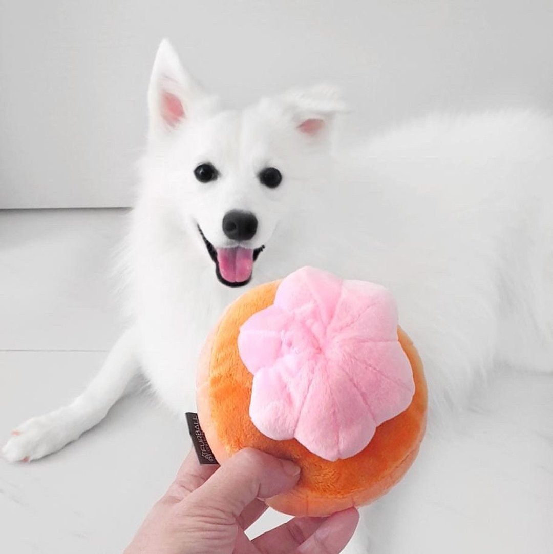 Gem Biscuit Squeaker Chew Toy for Pet Dogs - 玩具 - 棉 多色