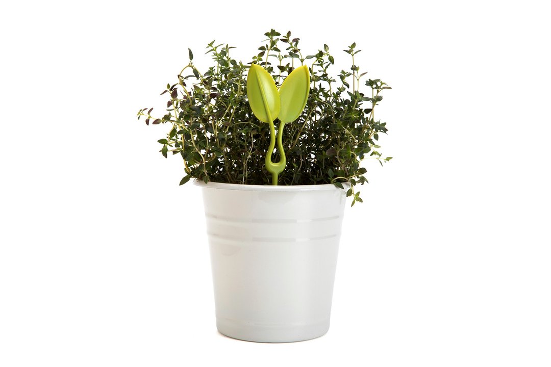 【PELEG-DESIGN】 Leafers 造型修叶剪 - 植栽/盆栽 - 塑料 绿色