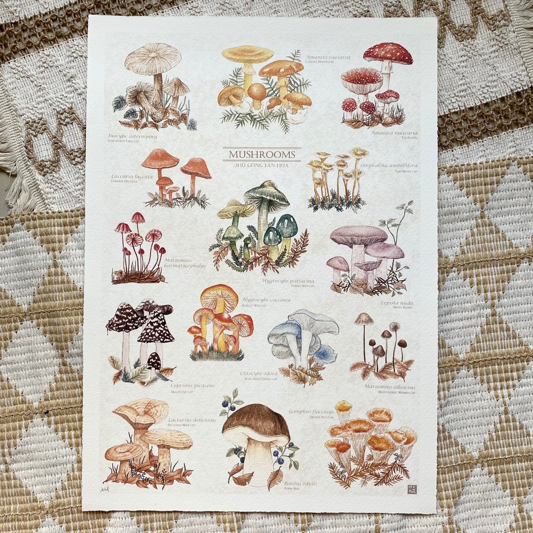 雨季的蕈类图鉴 A3复制画 - 其他 - 纸 