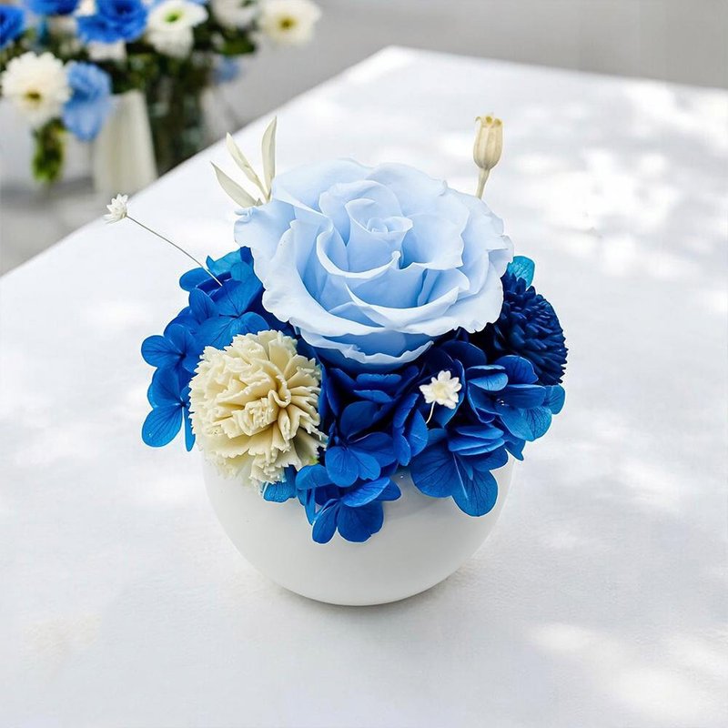 海洋圣殿永生花礼 (赠送5ml香氛油) - 干燥花/捧花 - 植物．花 蓝色