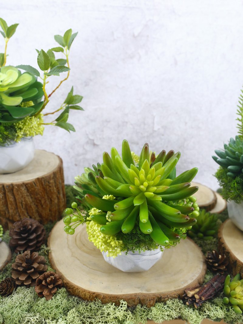 手指莲多肉香氛植栽/拟真植物/人造盆栽/绿化/布置/礼物 - 植栽/盆栽 - 其他材质 绿色
