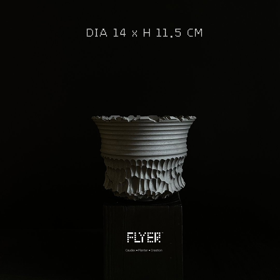FLYER 块根多肉植物陶盆器 龙舌兰象牙宫象足漆树盆器 - 花瓶/陶器 - 陶 