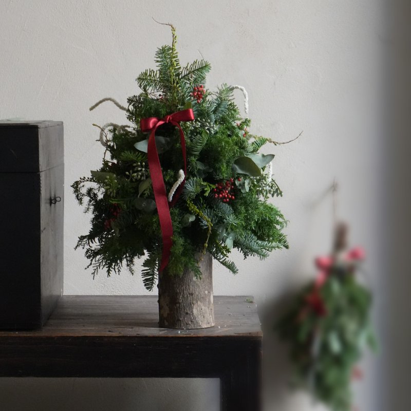 圣诞树 - 香氛森林 Forest Aroma / 新鲜花材可干燥 / 诺贝松 - 干燥花/捧花 - 植物．花 绿色