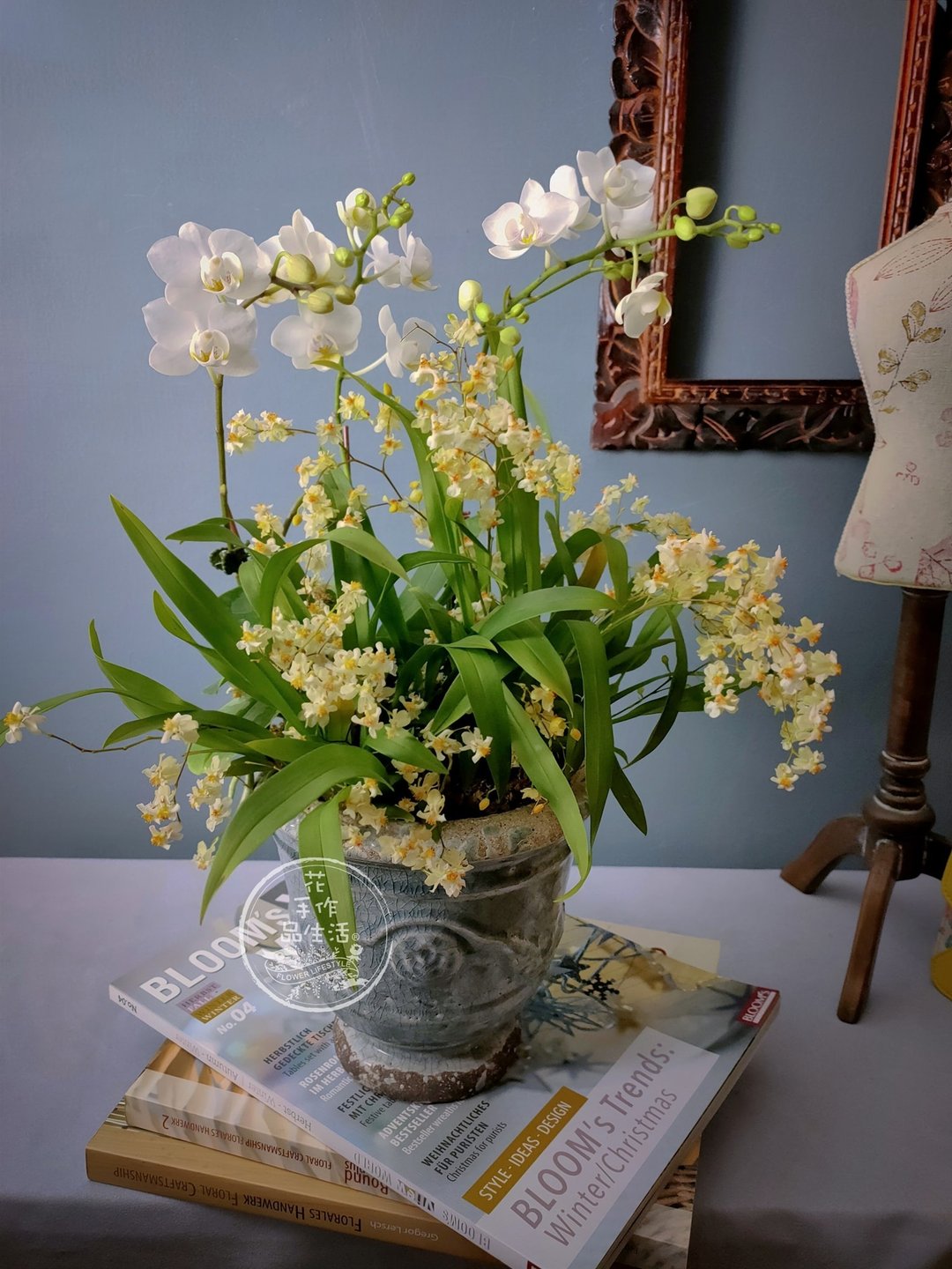 兰花组合盆栽课程 - 植栽 - 植物．花 