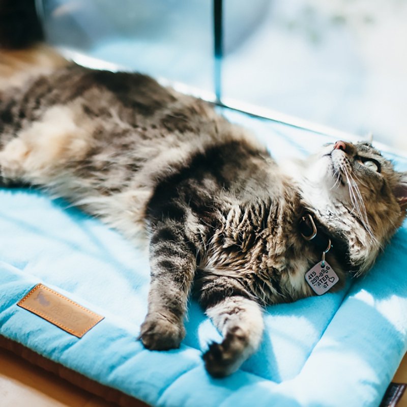 宠物床垫 睡垫 四季舒活垫 XS号(10色) 可机洗 - 床垫/笼子 - 环保材料 