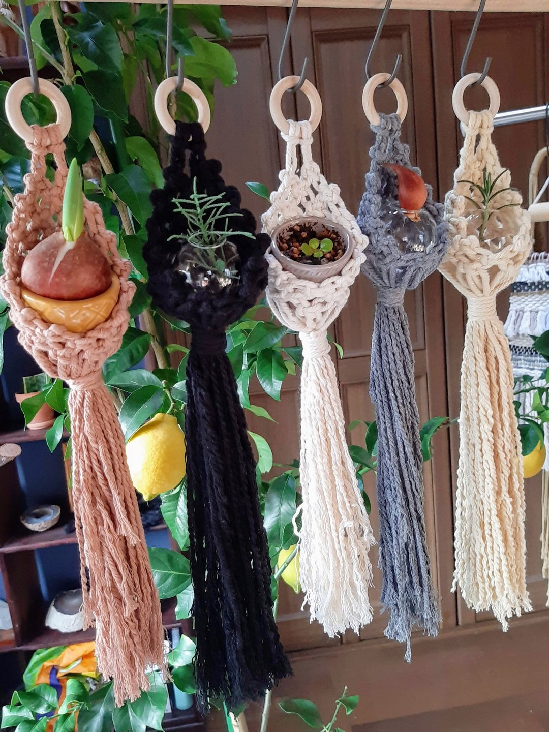 Macrame Mini Plant hanger Drop - 墙贴/壁贴 - 棉 白色