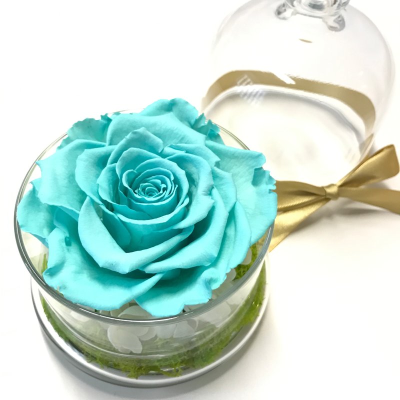 《NEW》 不凋花玫瑰花玻璃罩 薄荷绿 - 植栽/盆栽 - 玻璃 绿色