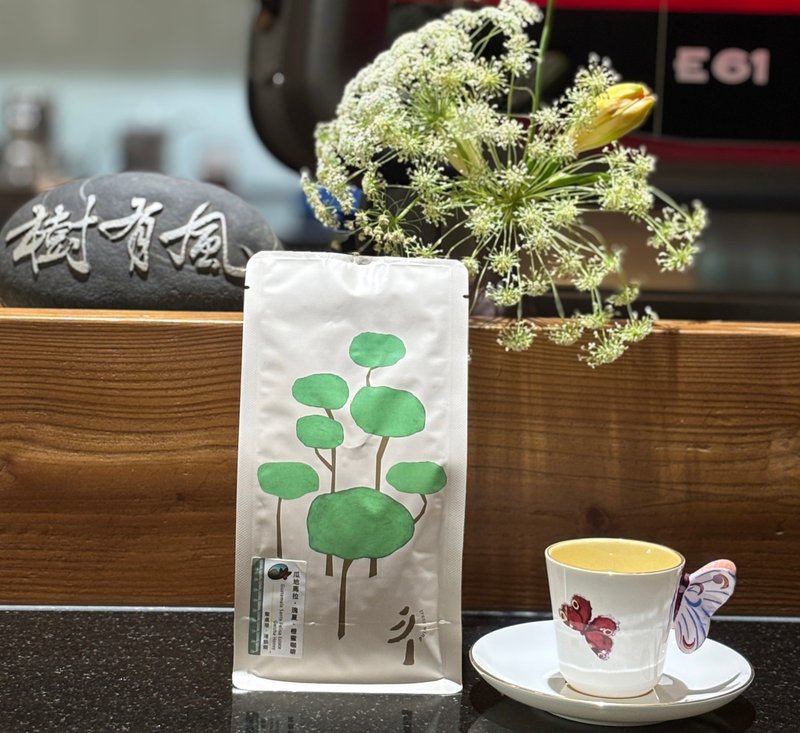 TreesWind 危地马拉 瑰夏 橙蜜 咖啡豆 - 咖啡 - 其他材质 