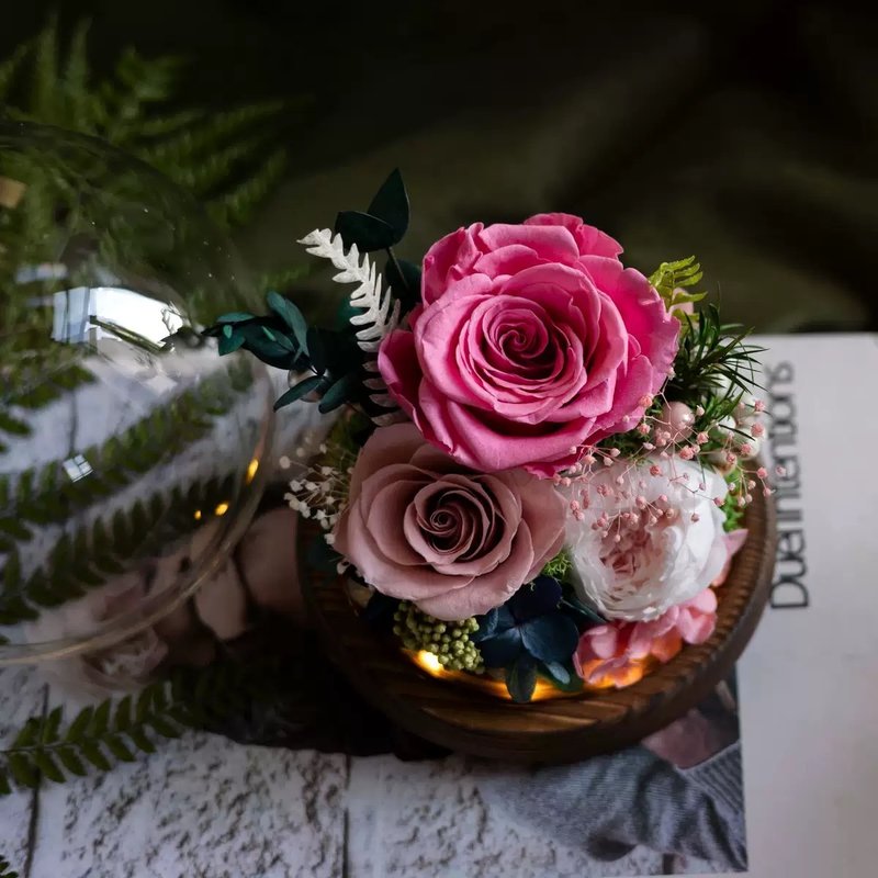 【永恒星穹】把小花园封进玻璃球的暖光永生花 - 干燥花/捧花 - 植物．花 