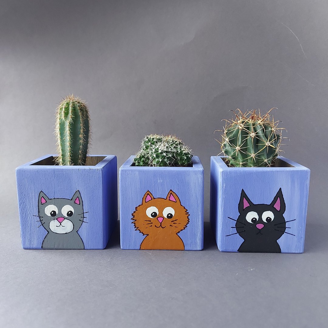 Cactus/succulent pots - 植栽/盆栽 - 木头 紫色