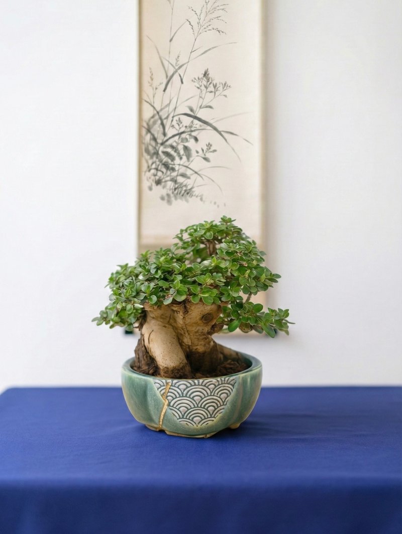 小品盆栽・米叶寿娘子 - 植栽/盆栽 - 植物．花 