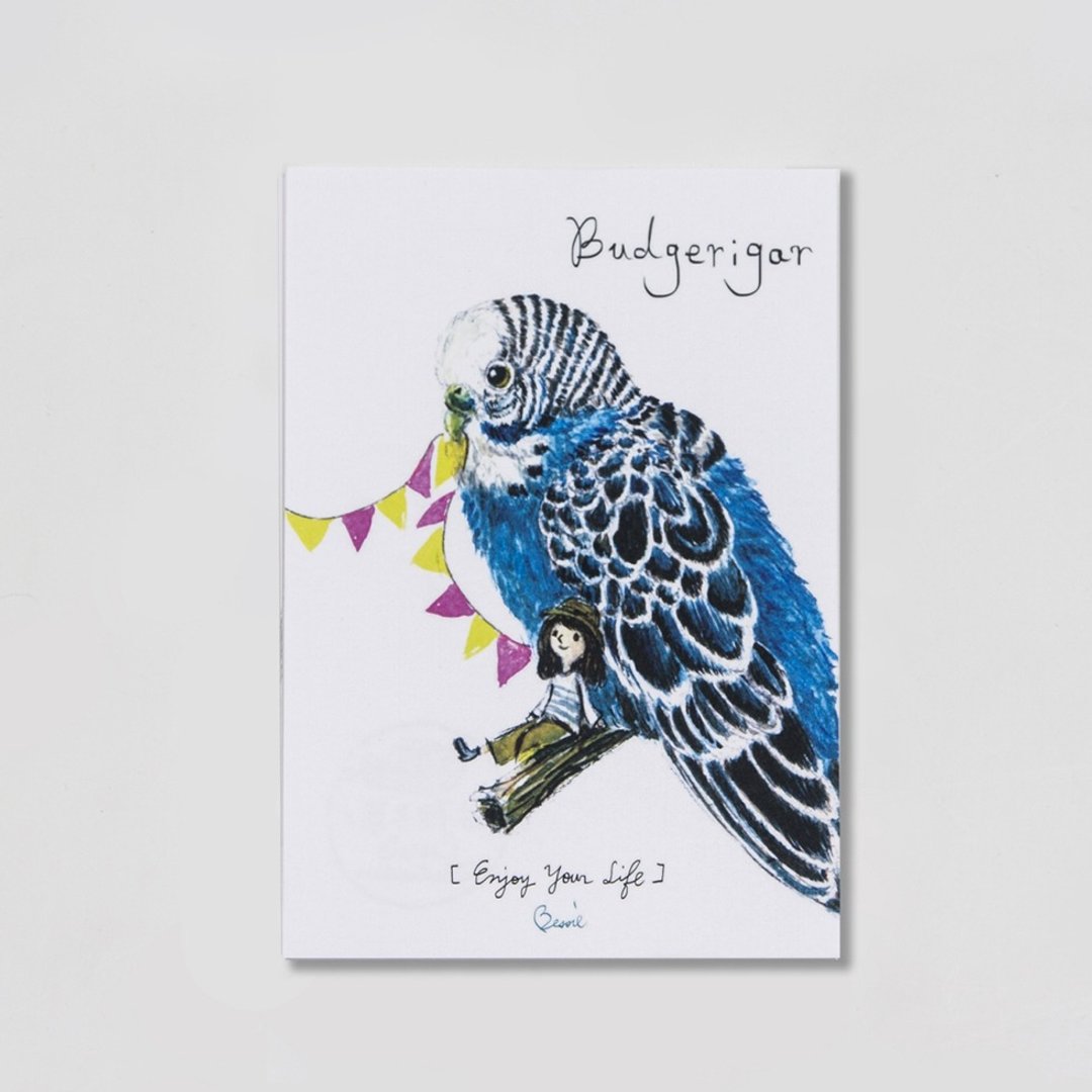 BIRDER 系列- Budgerigar - 卡片/明信片 - 纸 白色