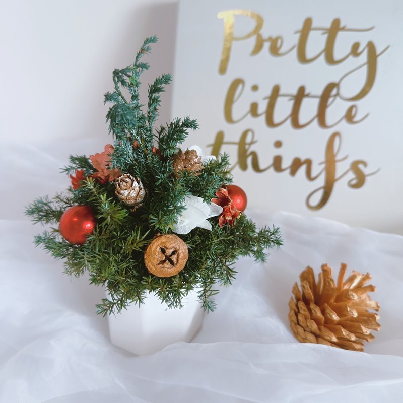 香氛耶诞 小圣诞树 干燥花盆 永生盆花 圣诞礼物 交换礼物 花礼 - 香薰/精油/线香 - 植物．花 绿色