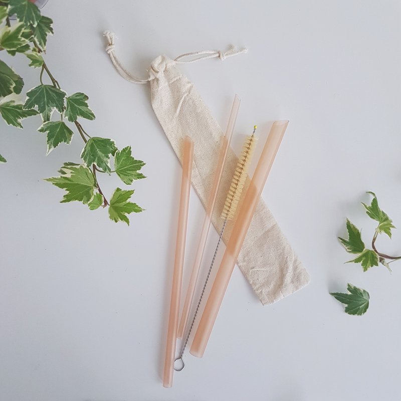 限时优惠-FunXinストロ放心生医级环保吸管-透亮珊瑚-单支 - 环保吸管 - 硅胶 粉红色