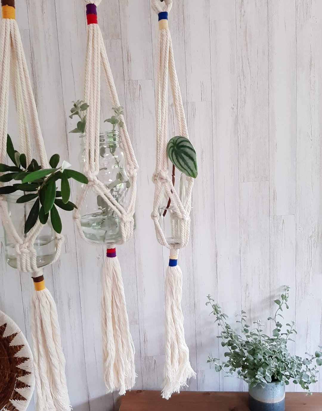 Macrame plant hanger " STRINGS " - 花瓶/陶器 - 棉 白色