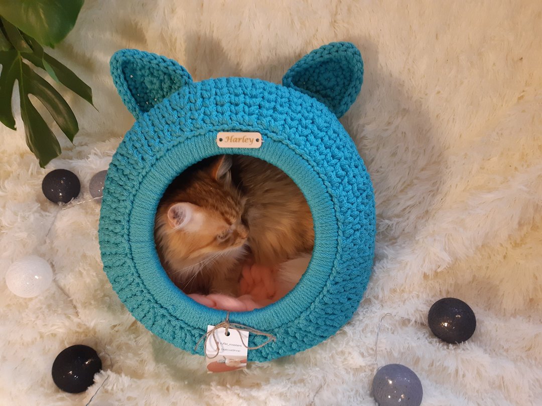 数位钩针图案猫屋 KITTEN PDF 格式，附照片。 - 手工艺教程/工具书 - 其他材质 