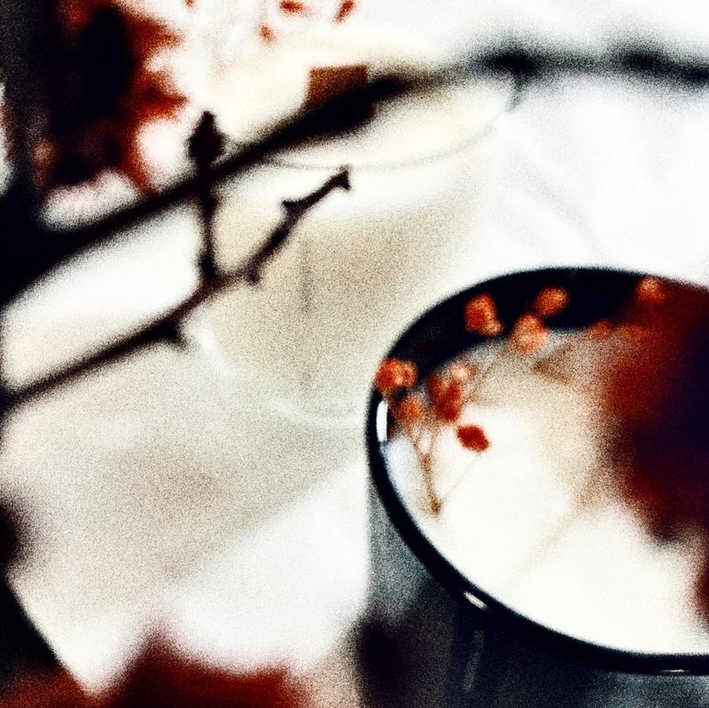 大豆蜡烛 l No.07 fleur 丰 l 植物精油 - 香薰/精油/线香 - 精油 