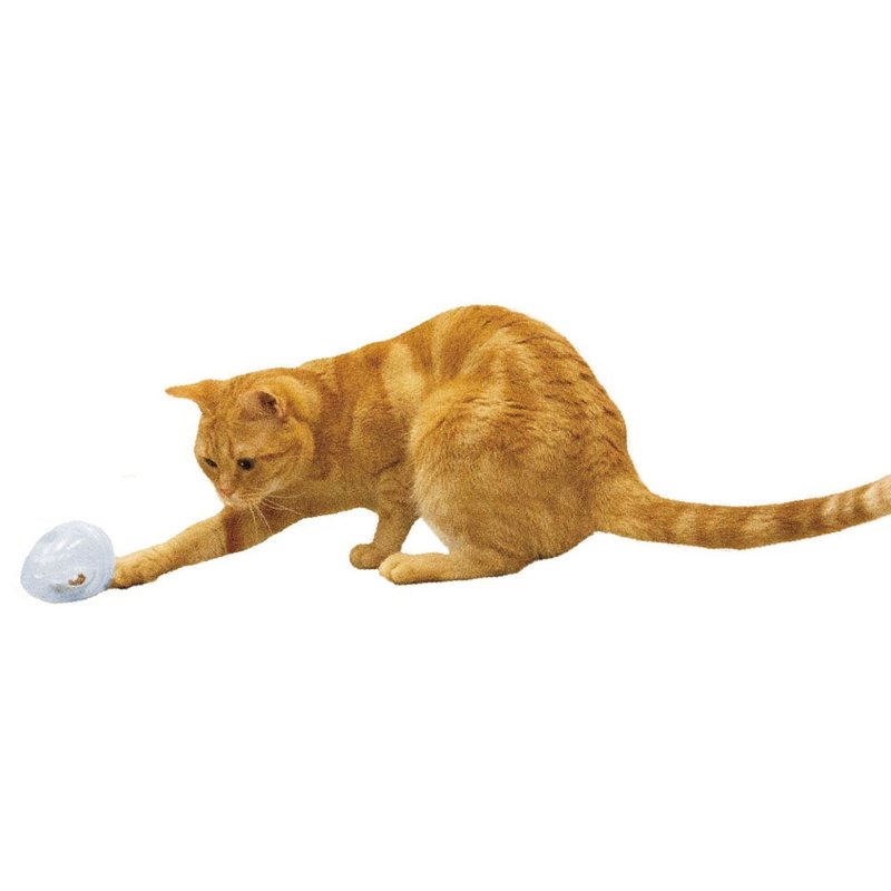 【日本CattyMan】滚来滚去~好好玩!喵星人育智透明玩具蛋 - 玩具 - 其他材质 透明