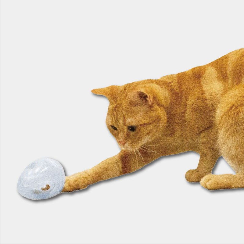 【日本CattyMan】滚来滚去 ~ 好好玩 ! 喵星人育智透明玩具蛋 - 玩具 - 其他材质 透明