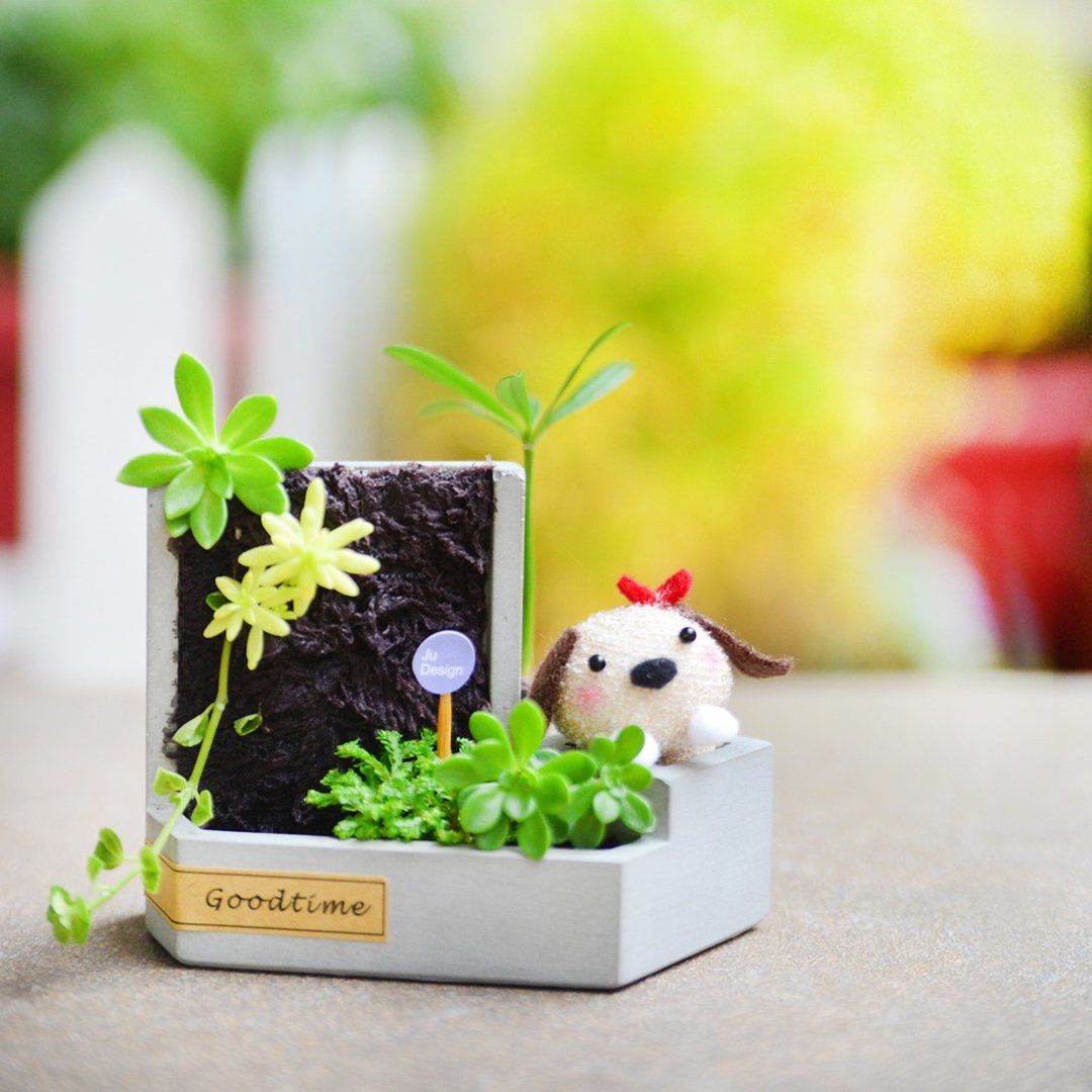 【五倍券优惠】清水模 植生墙 微景植栽袜娃娃 舒压手作 一人成团 - 植栽 - 植物．花 