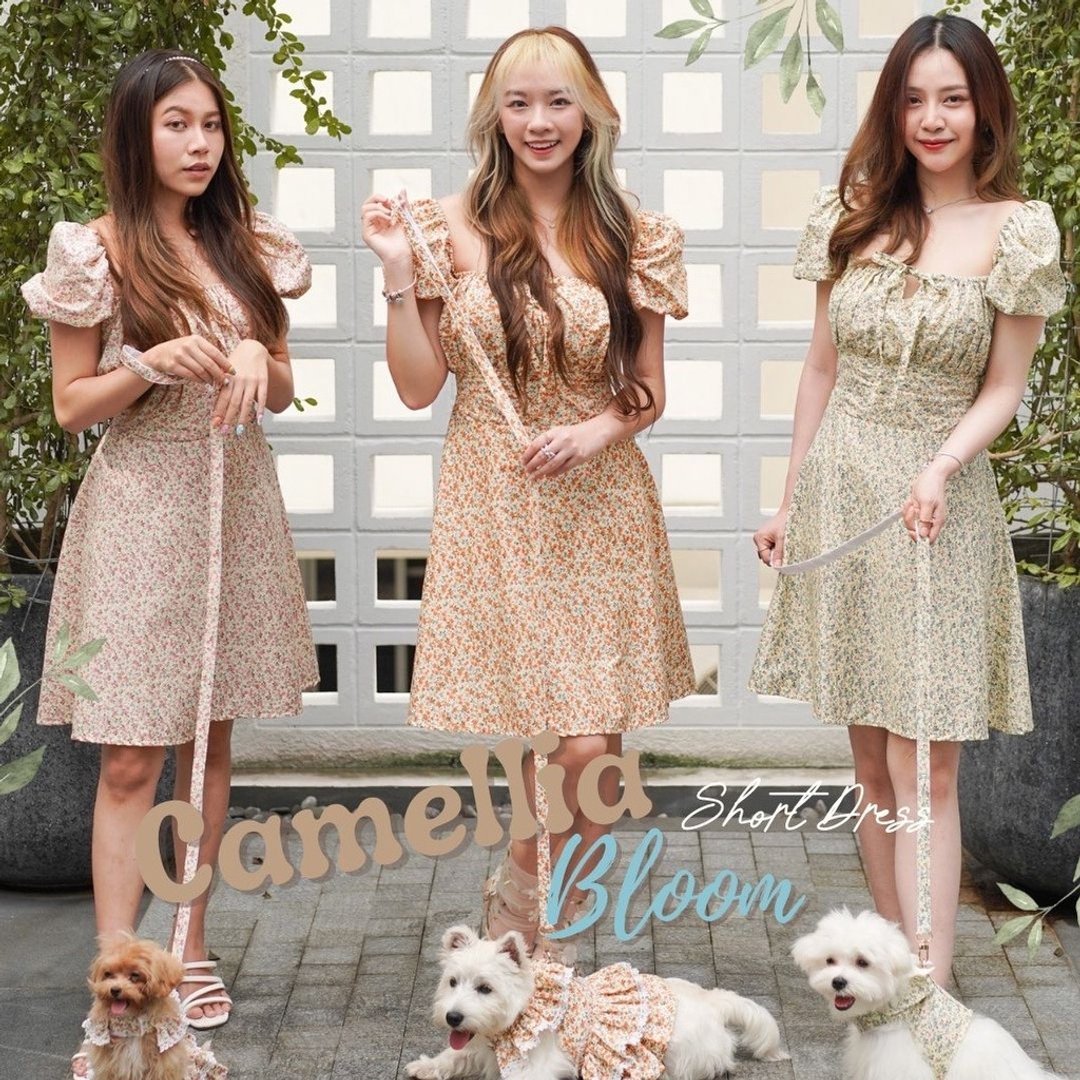 Camellia Bloom Flower Short Dress (Matching Outfits with your pet: dog&cat) - 洋装/连衣裙 - 其他材质 
