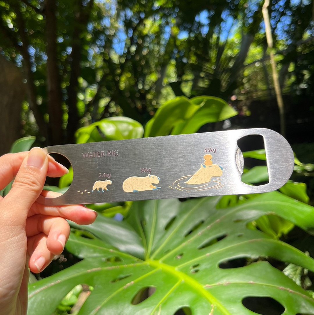 【Taipei Zoo 限定联名款】水豚 | Bar Blade开瓶器 - 开瓶器/开罐器 - 不锈钢 银色