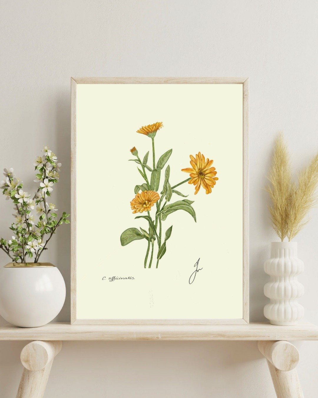 金盏花植物画 手绘花卉厨房挂画 - 电子手绘真人画像/绘画/插画 - 其他材质 