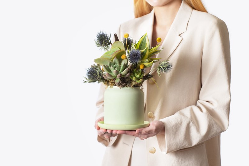 【专车配送】欢欣鼓舞 - 以植为礼 / 盆栽 植物 台湾设计 有肉 - 植栽/盆栽 - 植物．花 