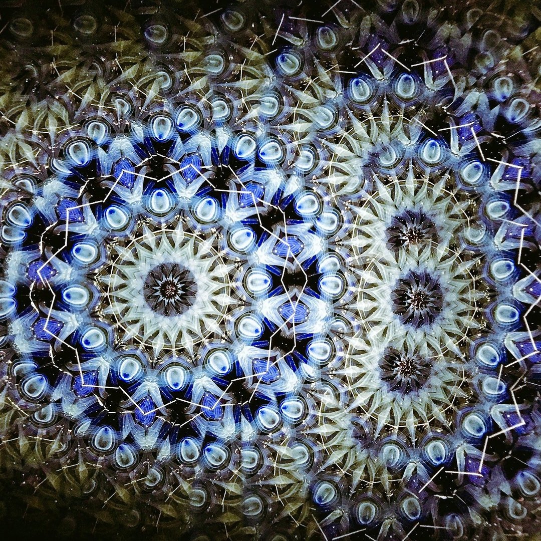 kaleidoscope Grace - 摆饰 - 玻璃 多色