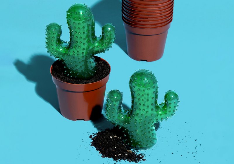 【洁齿仙人掌】陪伴宠物/耐咬解闷玩具 - 玩具 - 其他材质 绿色