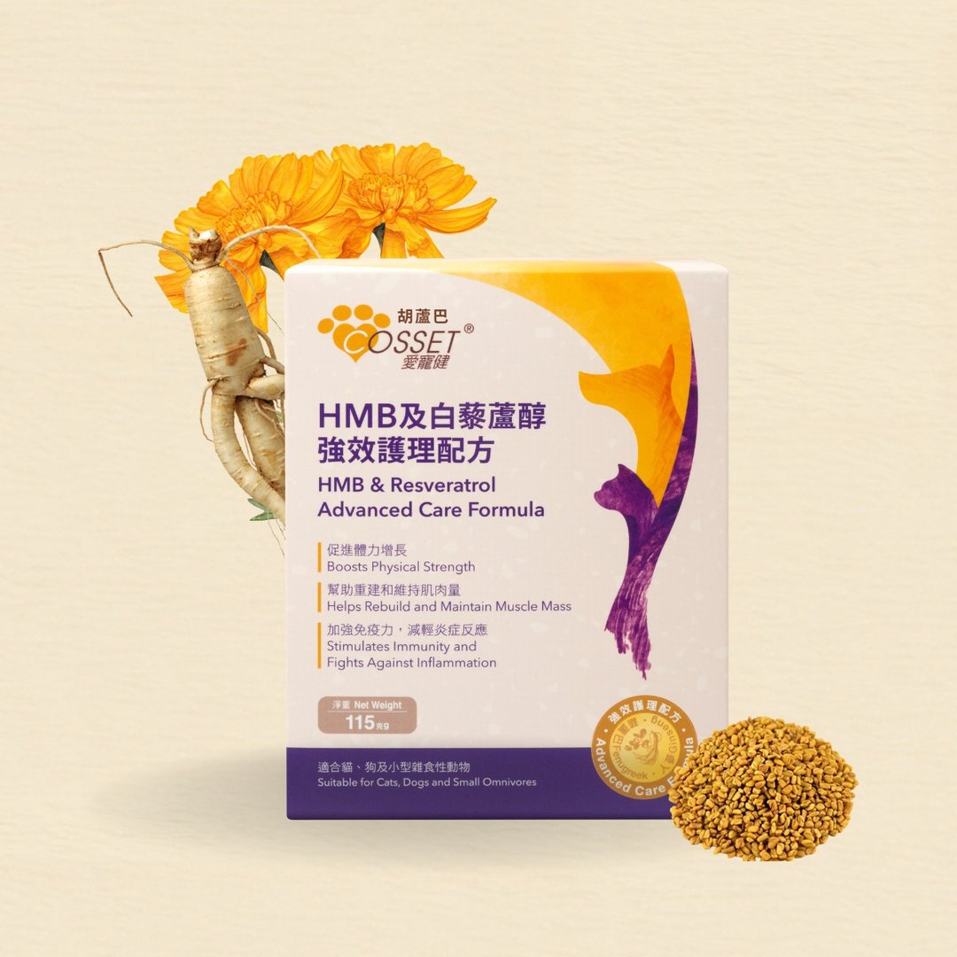 爱宠健 HMB 及白藜芦醇强效护理配方 - 其他 - 其他材质 