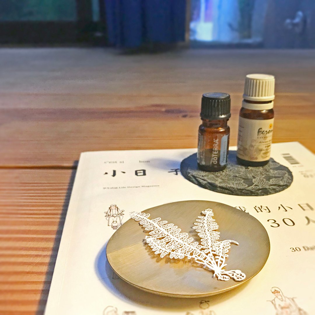 蕨类标本纸雕 - 肾蕨| 纸雕 书签 蕨类 植物 文具 母亲节 礼物 - 书签 - 纸 白色