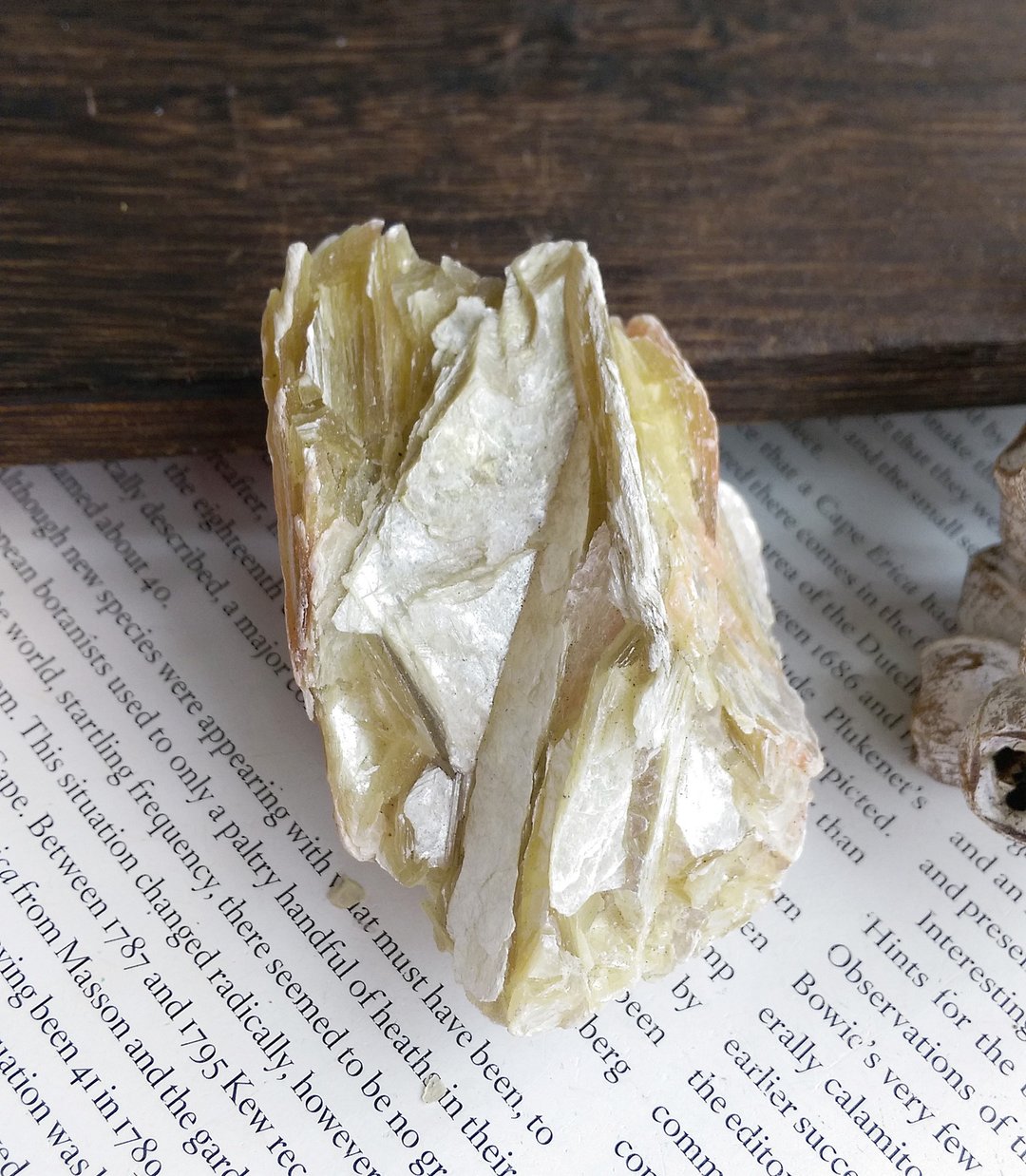 Mica 秘鲁产地 金云母 造岩矿物 天然矿石 原矿 - 摆饰 - 其他材质 