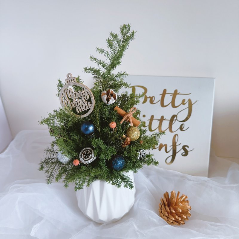 绽蓝烟火 小圣诞树 干燥花盆 永生盆花 圣诞礼物 交换礼物 花礼 - 干燥花/捧花 - 植物．花 橘色