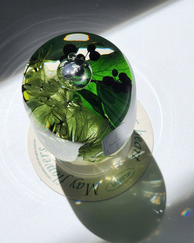 + HUHURU + 植光之境花艺瓶－Forest Dew 森林露珠【情人节礼盒】 - 干燥花/捧花 - 玻璃 绿色