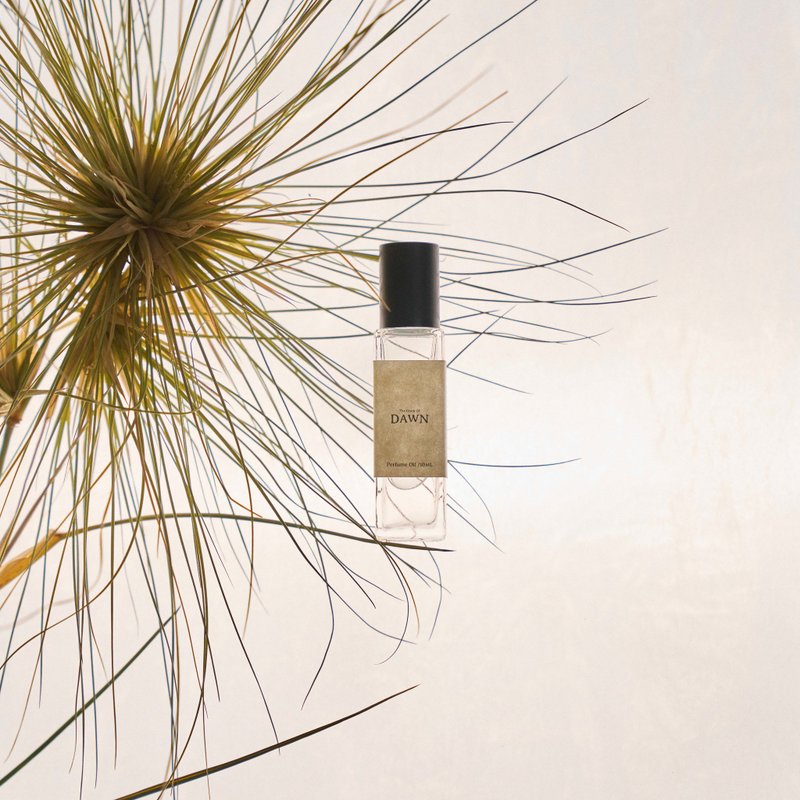 滚珠香氛油 #05 清晨雾露【木质调】 - 香水/香膏 - 玻璃 透明