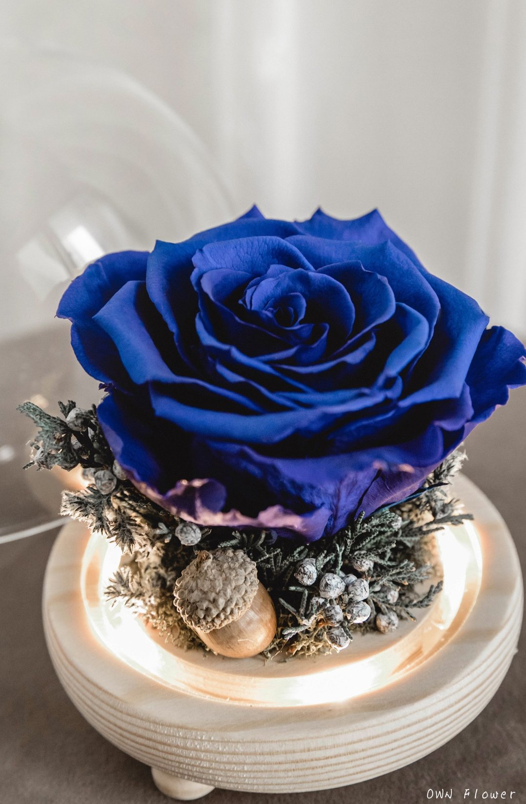 蓝玫瑰/花夜灯/永生花玻璃盅/生日礼物/毕业礼物/永生花礼/不凋花 - 干燥花/捧花 - 植物．花 蓝色