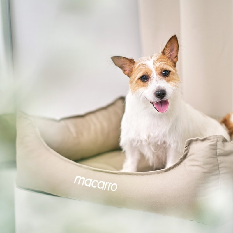 macarro宠物乳胶床 纯棉布料 大象灰 - 床垫/笼子 - 乳胶 