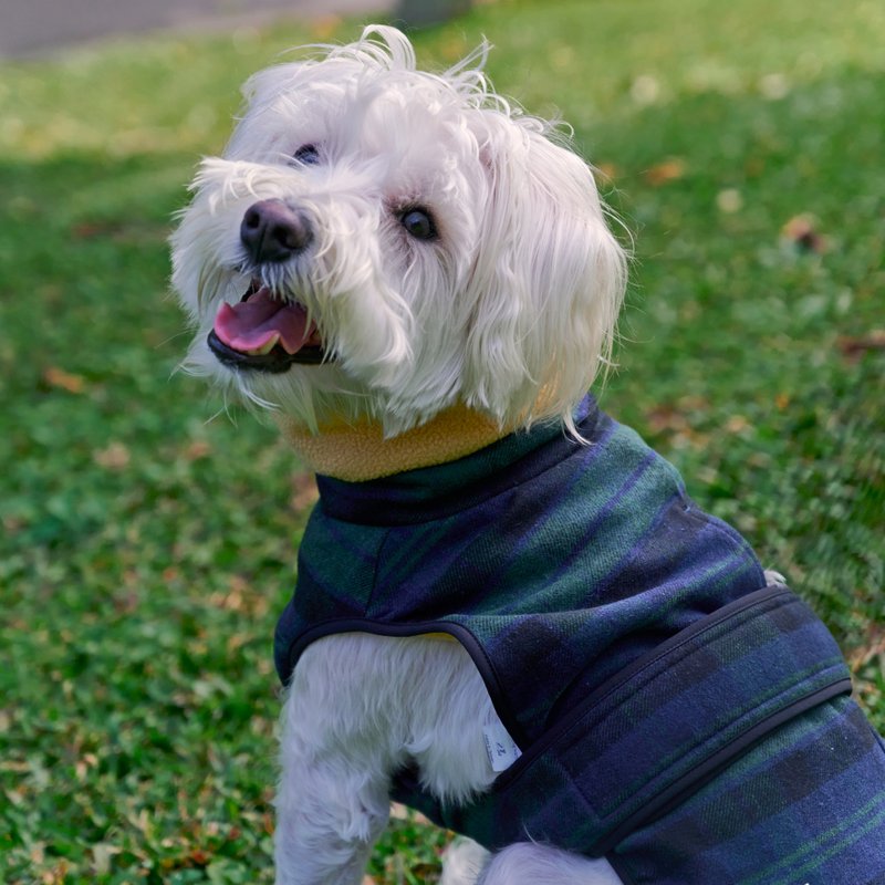 高领保暖衣TUR6 (苏格兰经典) S-6L 方便穿脱/ 牵绳洞设计 - 衣/帽 - 聚酯纤维 