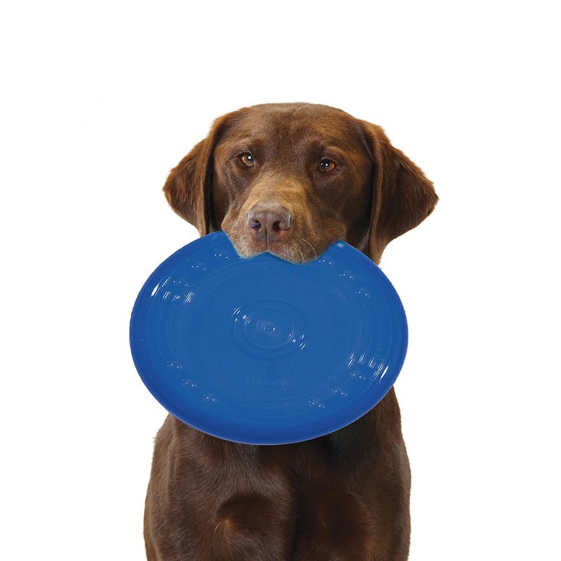 欧卡耐咬飞盘 (大) 宠物玩具 - 玩具 - 其他材质 