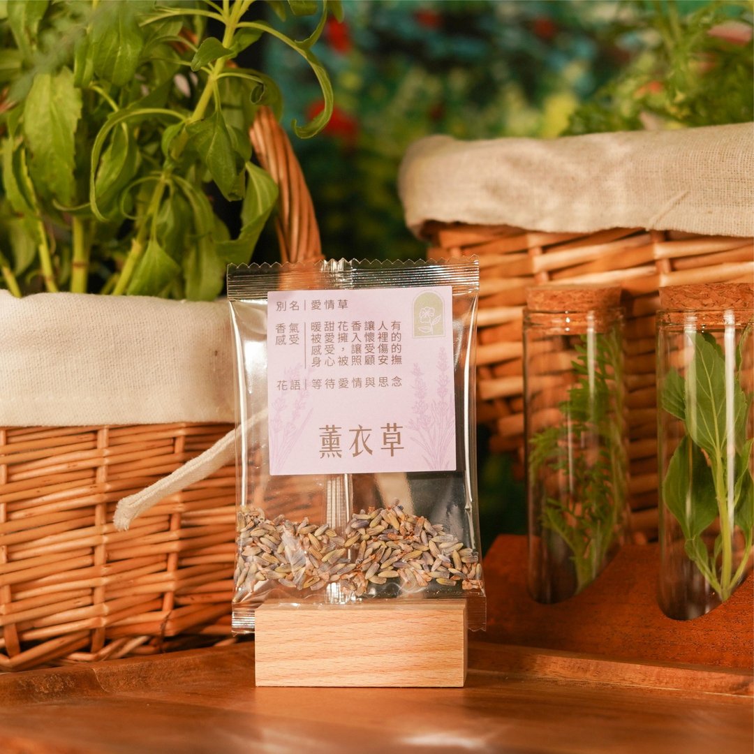 【小花园新品】薰衣草花草茶 - 茶 - 其他材质 紫色