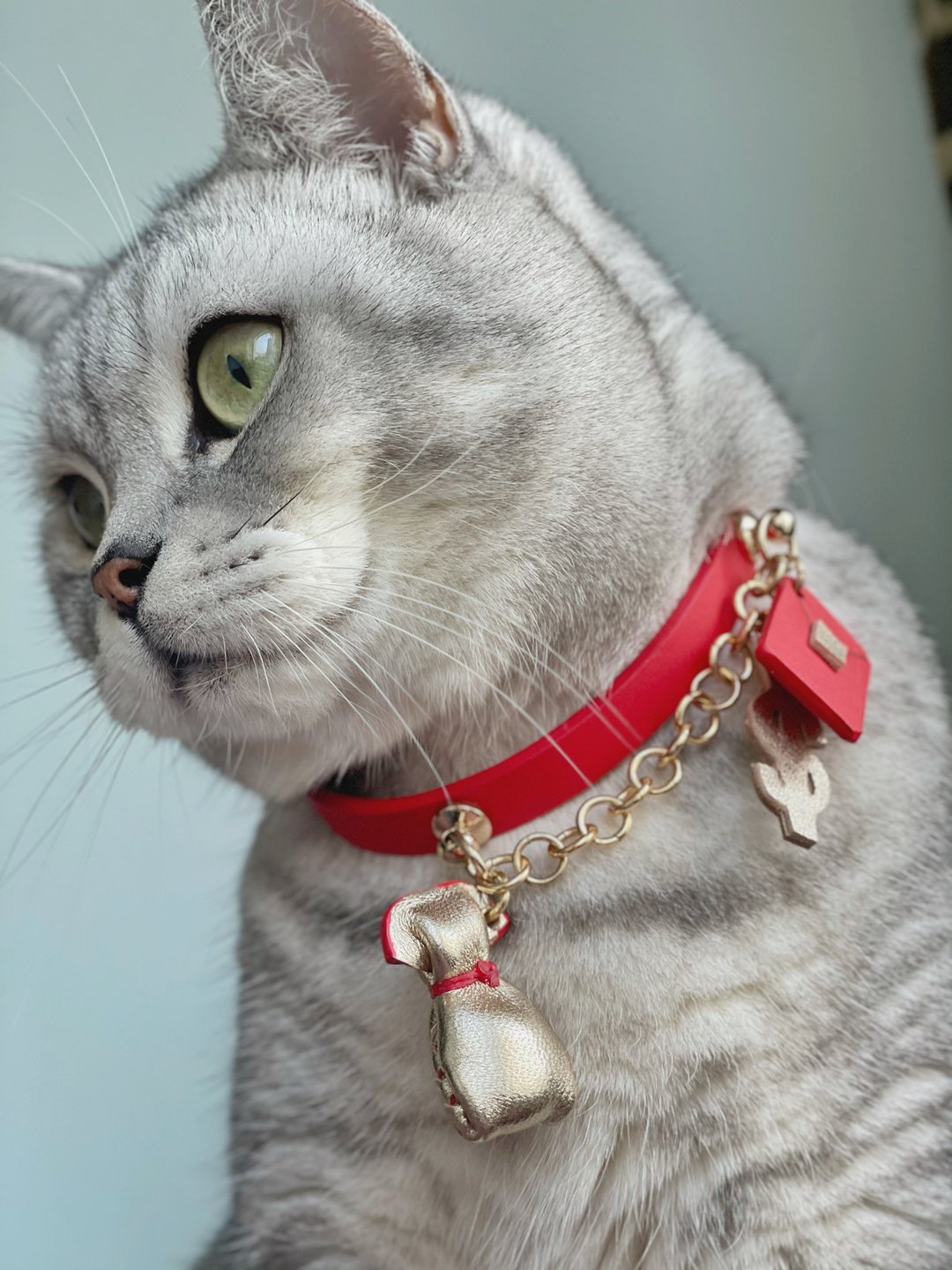 ZemoneniPet宠物项圈 节日系列 之 发家致富招财猫 春节快乐 - 项圈/牵绳 - 真皮 红色