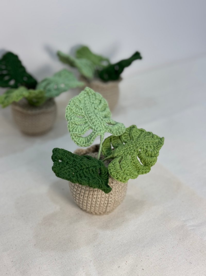 绿植系列 - 龟背芋 - 摆饰 - 其他材质 绿色