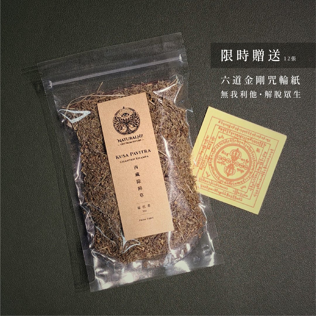 西藏除障草 - 堪巴草 | 30g | 赠送 六道金刚咒轮纸 | 净化除障 - 香薰/精油/线香 - 植物．花 绿色