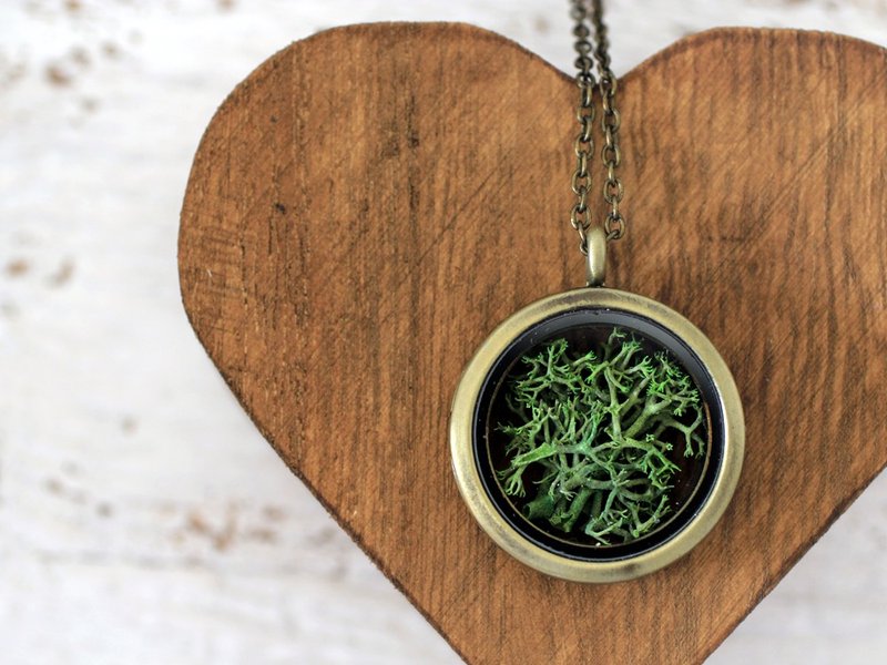Real Moss, Dried Moss Necklace, Real Dried Moss, Dried Moss Jewelry, Green Flowers, Green Flower Necklace, Real Dried Flowers Locket - 项链 - 玻璃 绿色