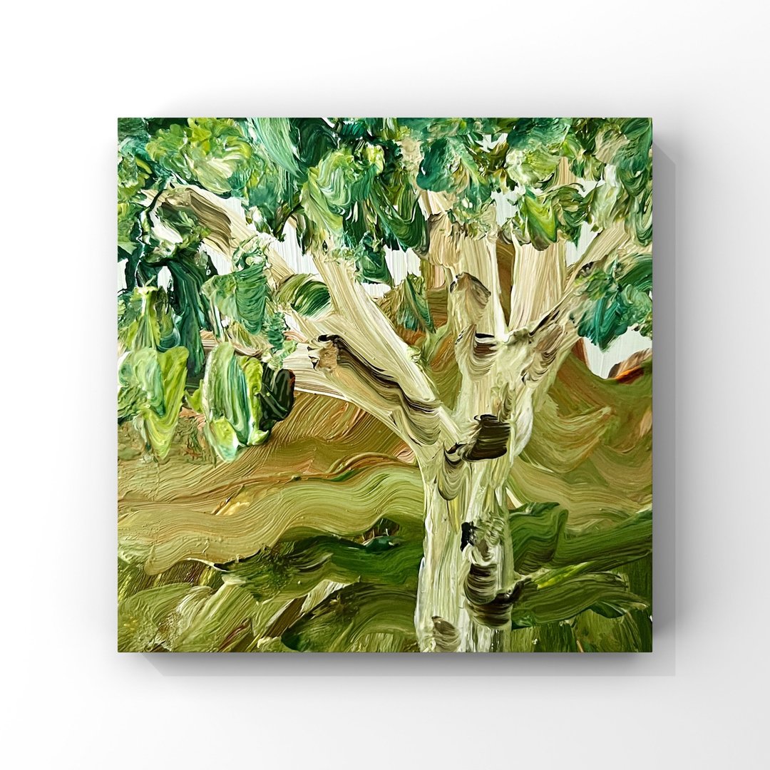 桦树艺术印象派桦树小油画绿棕风景 - 海报/装饰画/版画 - 其他材质 绿色