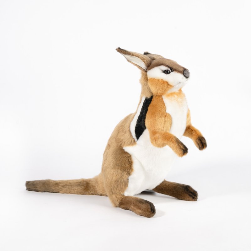 Hansa 5172-新月甲尾袋鼠 36厘米 - 玩偶/公仔 - 环保材料 卡其色