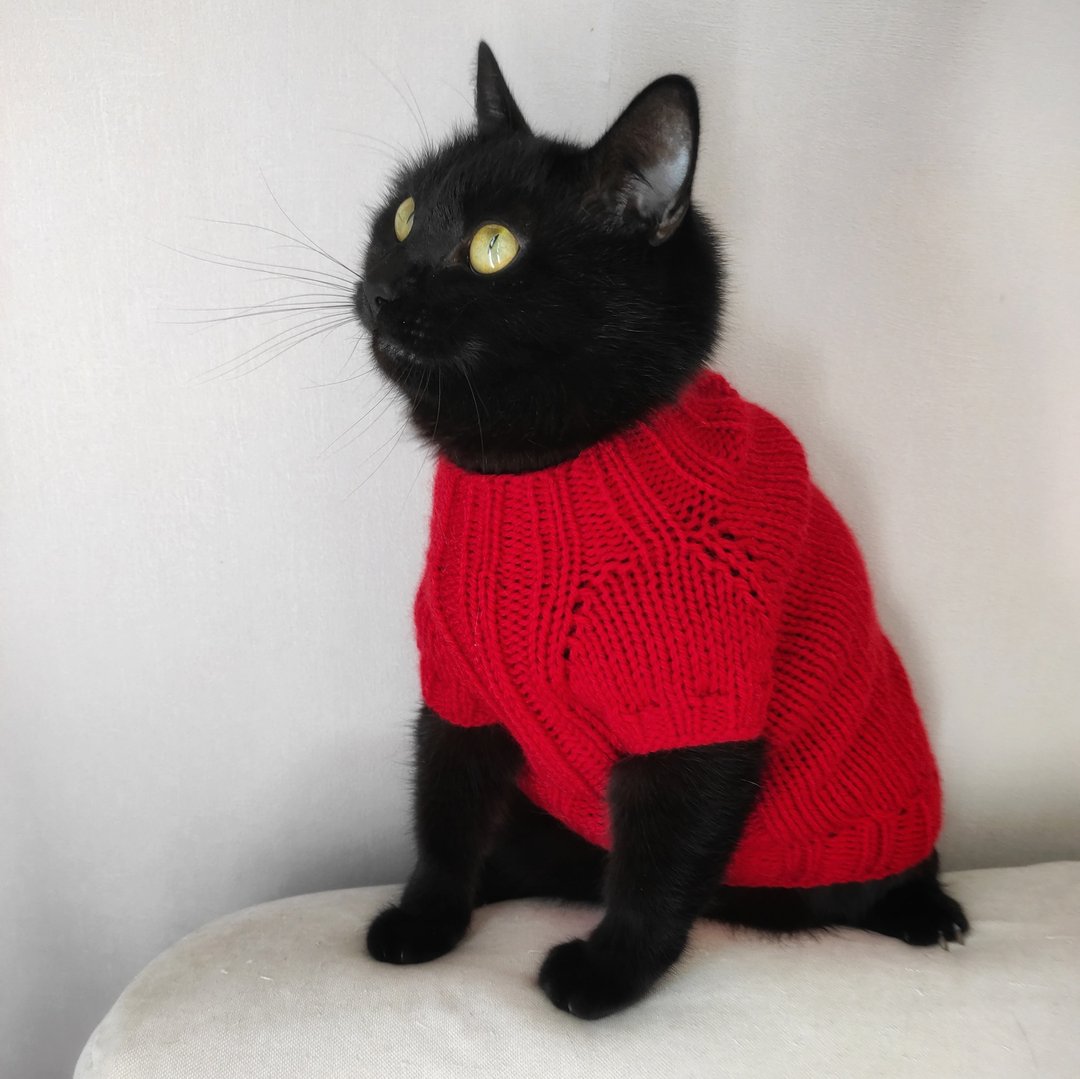 Basic cat sweater Pets jumper Hand knitted cat sweater - 衣/帽 - 羊毛 